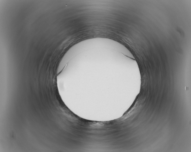 X0000111380140200908211348