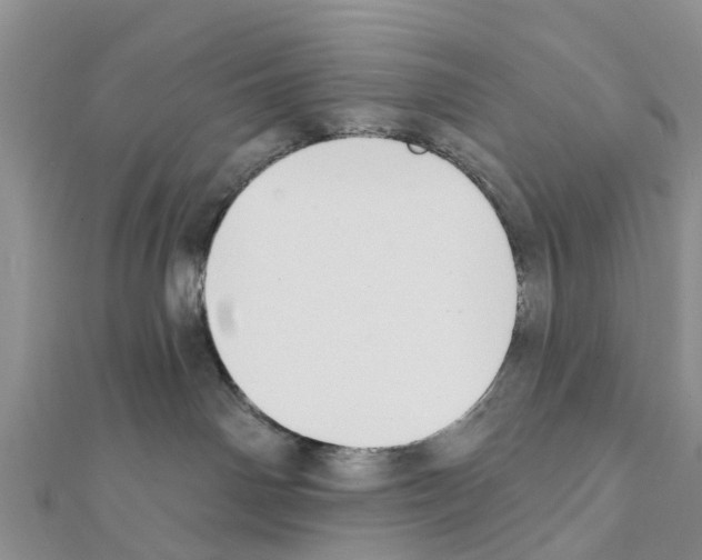 X0000111380142200908211348