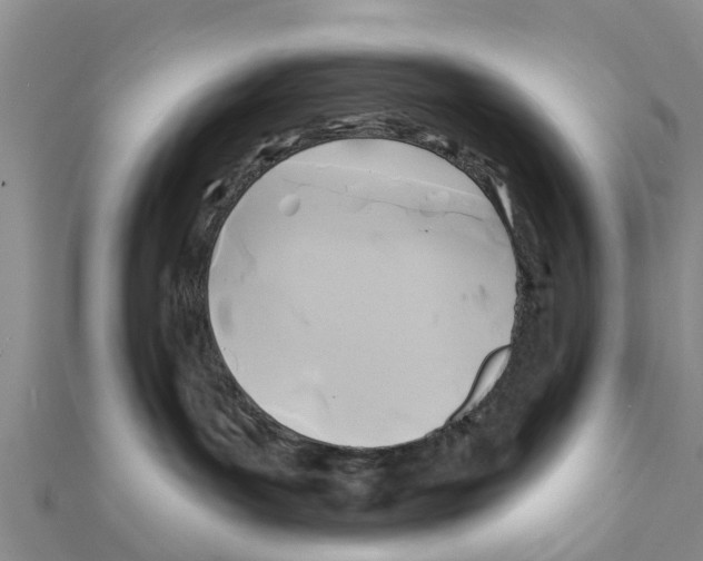 X0000111380143200908211348