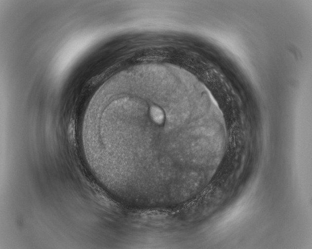 X0000111380146200908211347