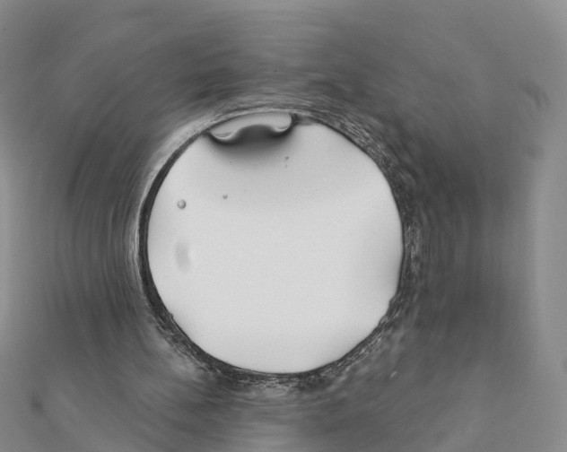 X0000111380148200908211347