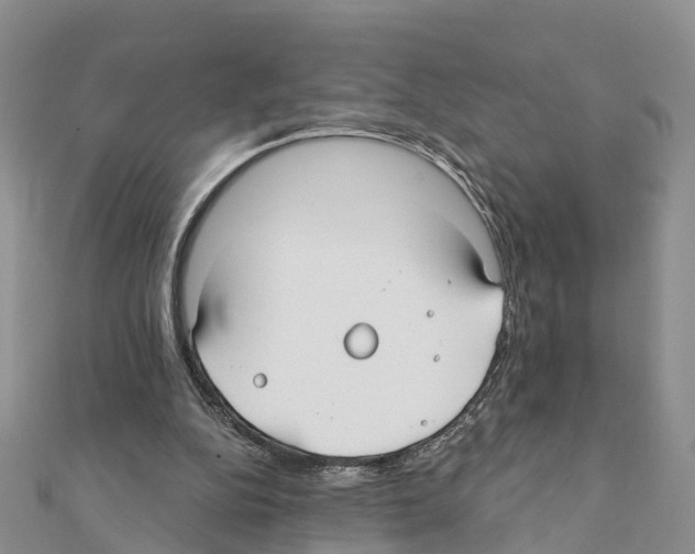 X0000111380152200908211347