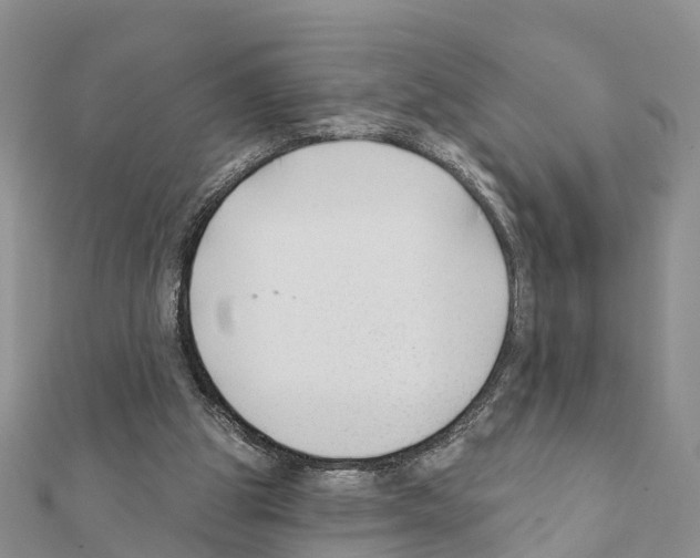 X0000111380153200908211347