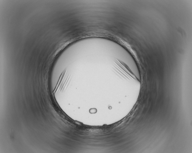 X0000111380154200908211347