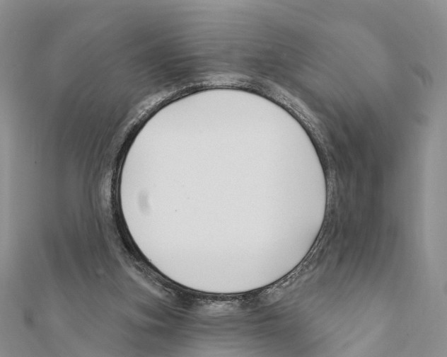 X0000111380155200908211347