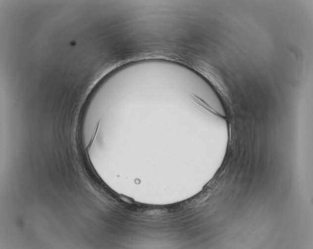 X0000111380156200908211348