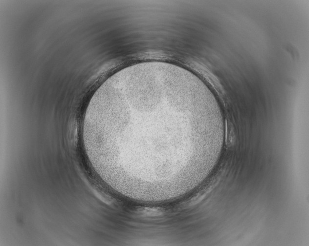 X0000111380157200908211348