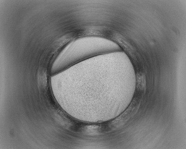 X0000111380158200908211348