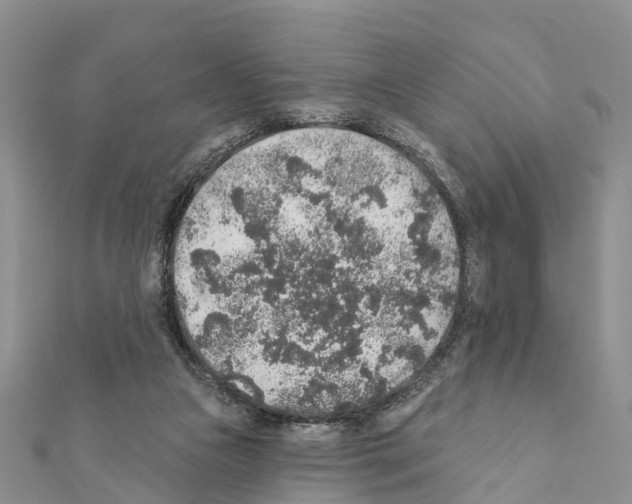 X0000111380161200908211348