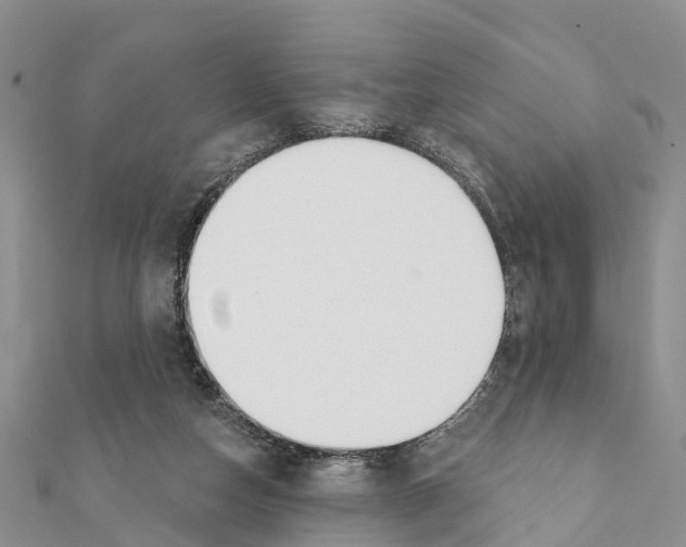 X0000111380162200908211348