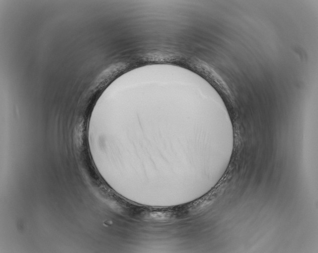 X0000111380163200908211348