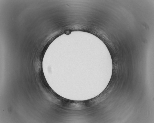 X0000111380164200908211348