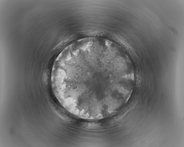 X0000111380165200908211348