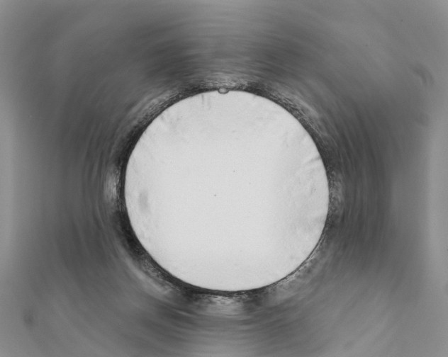 X0000111380166200908211348