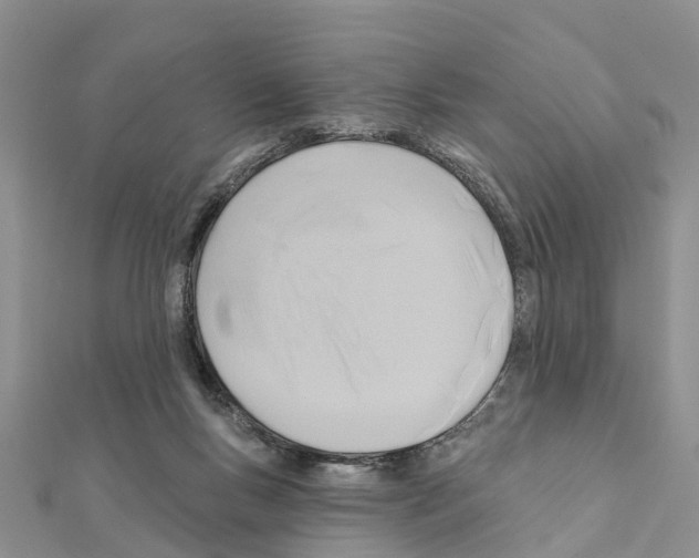 X0000111380167200908211348