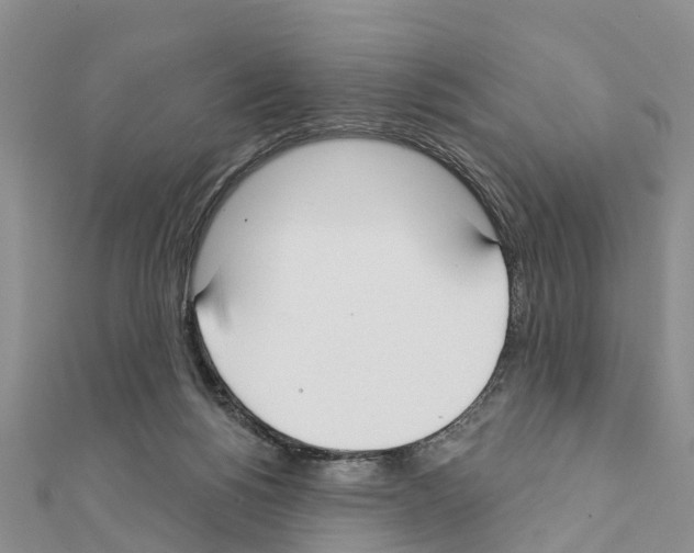 X0000111380168200908211348