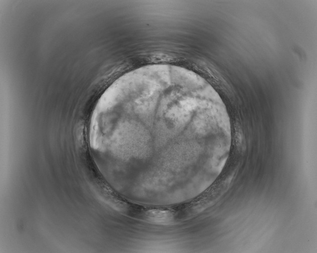 X0000111380169200908211348