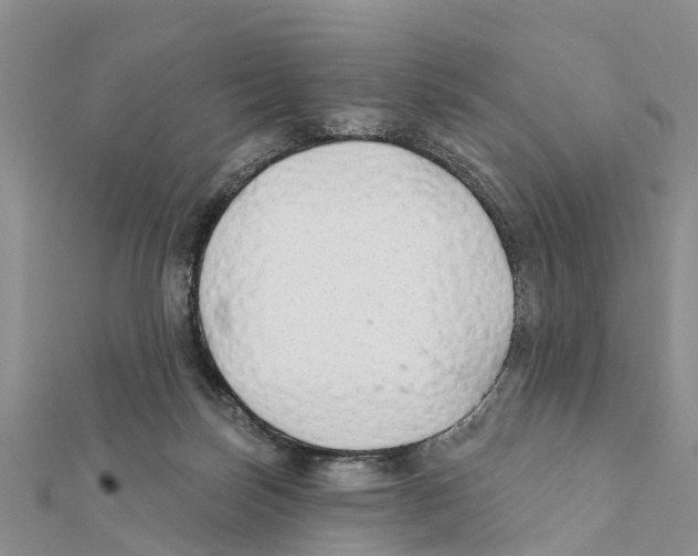 X0000111380171200908211348