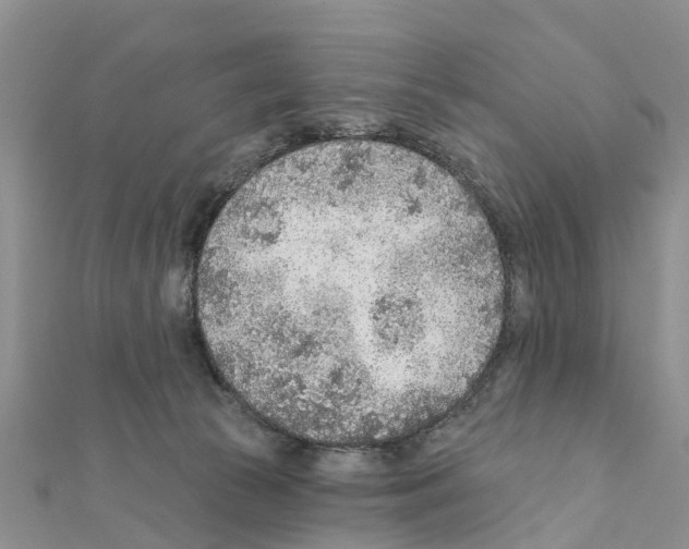 X0000111380177200908211348