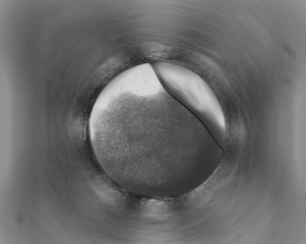 X0000111380180200908211348