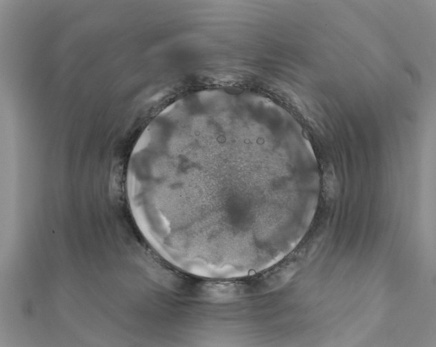 X0000111380181200908211348