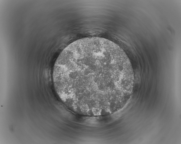 X0000111380182200908211348