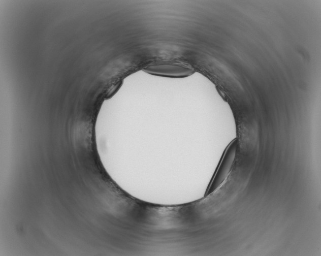 X0000111380184200908211348