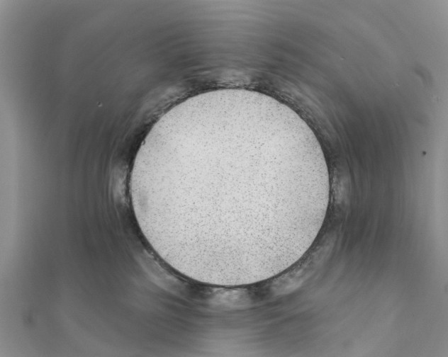 X0000111380185200908211348