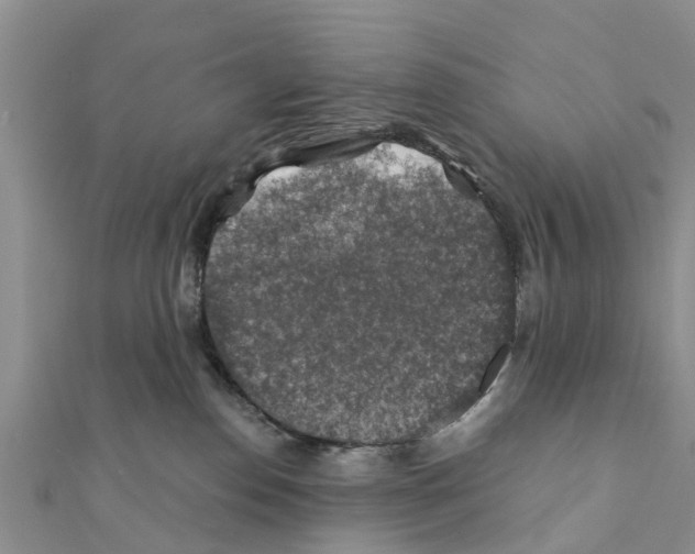 X0000111380186200908211348