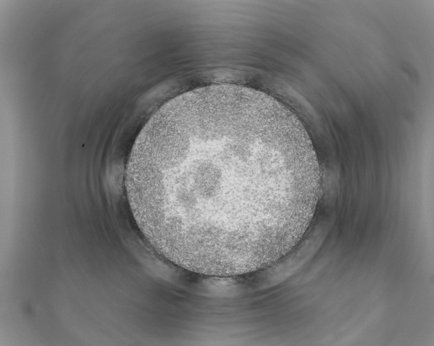 X0000111380189200908211348