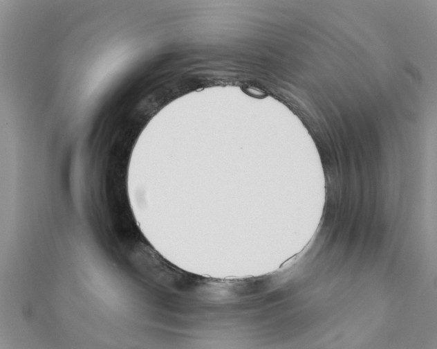 X0000111380190200908211348