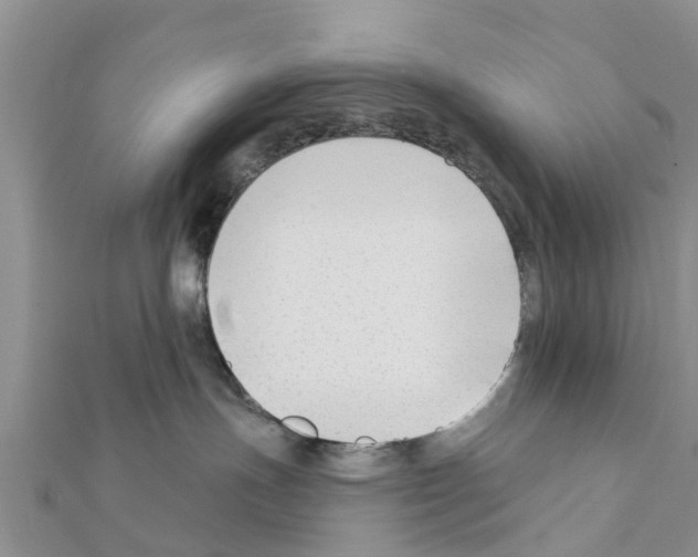 X0000111380191200908211348