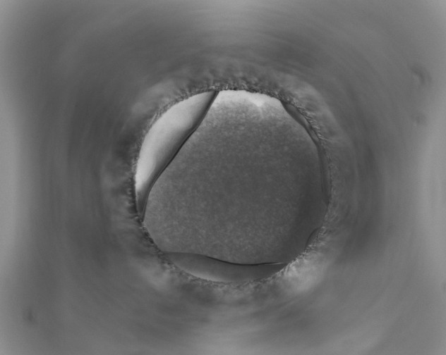 X0000111380192200908211348