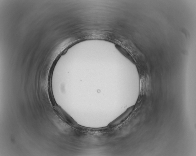 X0000111380195200908211347