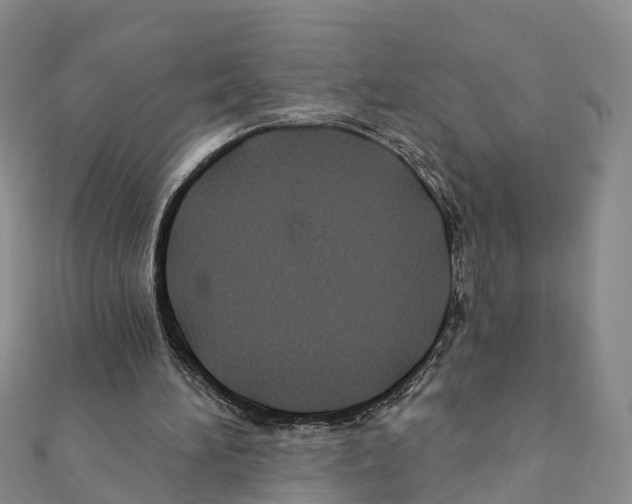 X0000111380196200908211347