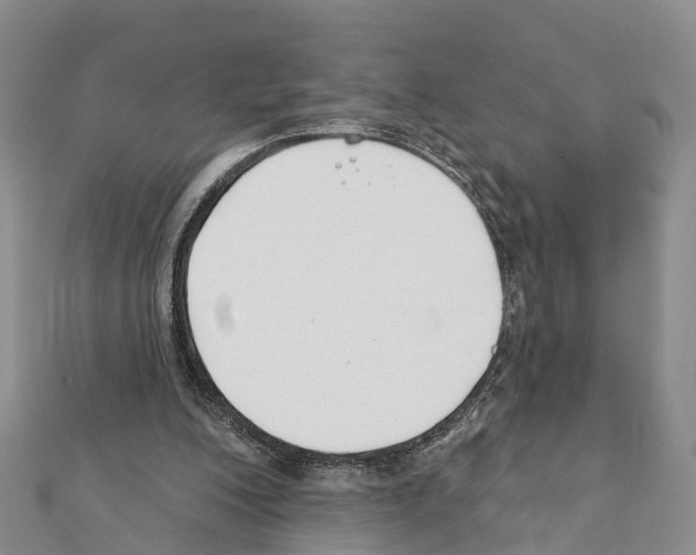 X0000111380200200908211347