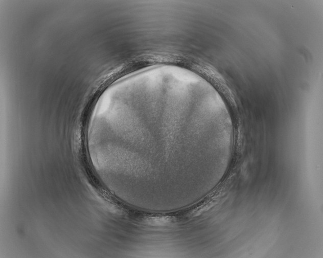 X0000111380202200908211347