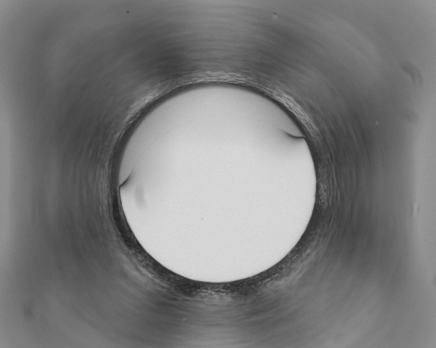 X0000111380207200908211347