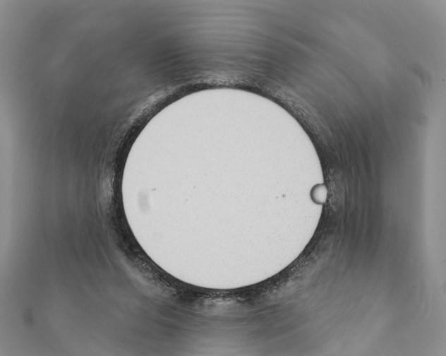 X0000111380208200908211347