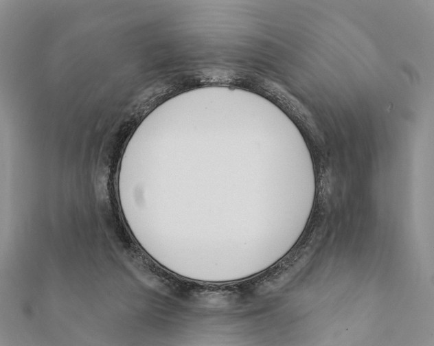 X0000111380209200908211347