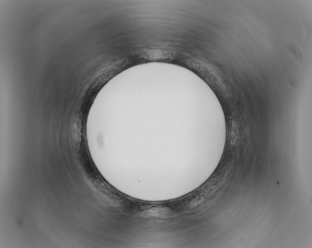 X0000111380210200908211347