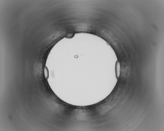 X0000111380211200908211347