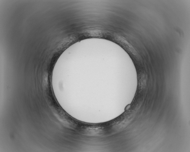 X0000111380213200908211347