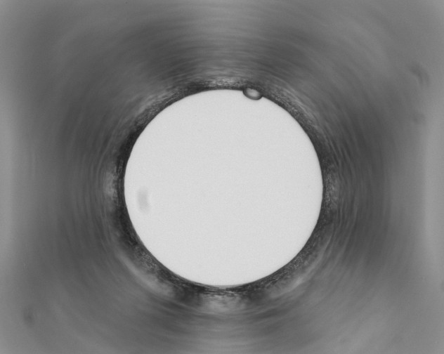 X0000111380215200908211347