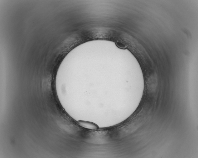 X0000111380217200908211347