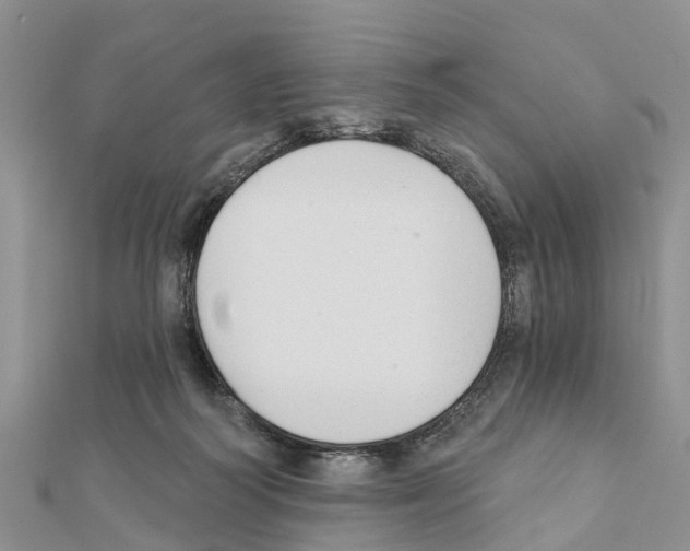 X0000111380218200908211347