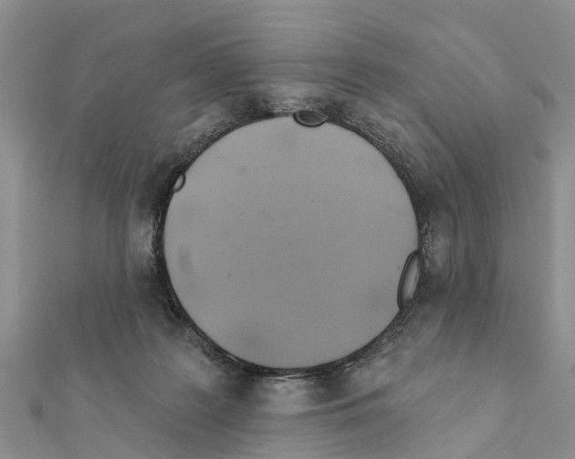 X0000111380219200908211347