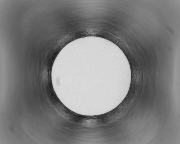 X0000111380220200908211347