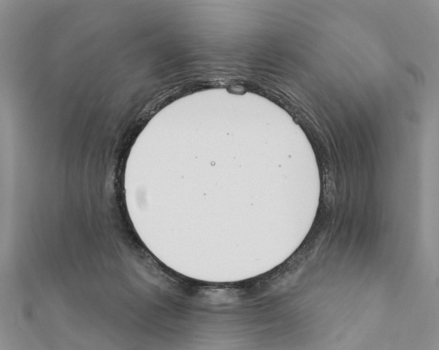 X0000111380221200908211347