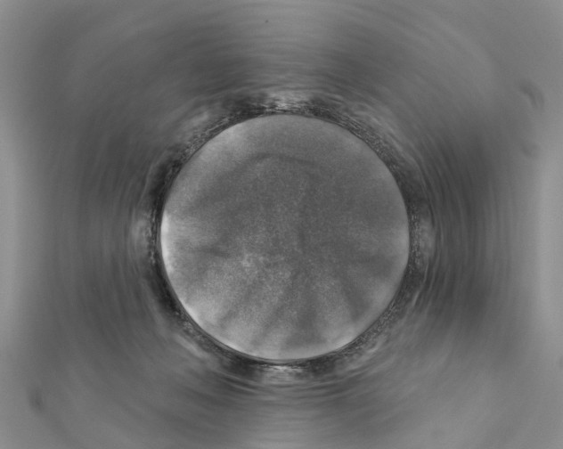 X0000111380222200908211347